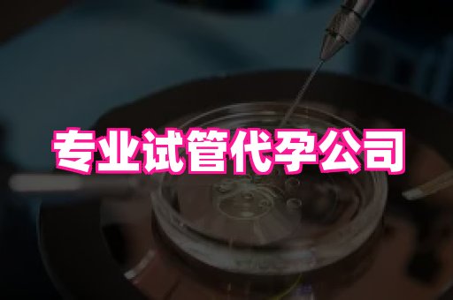 安徽助孕网 3